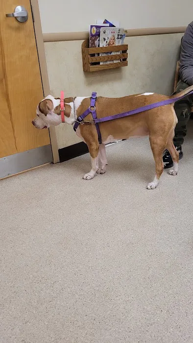 Litchfield Veterinary Hospital 9