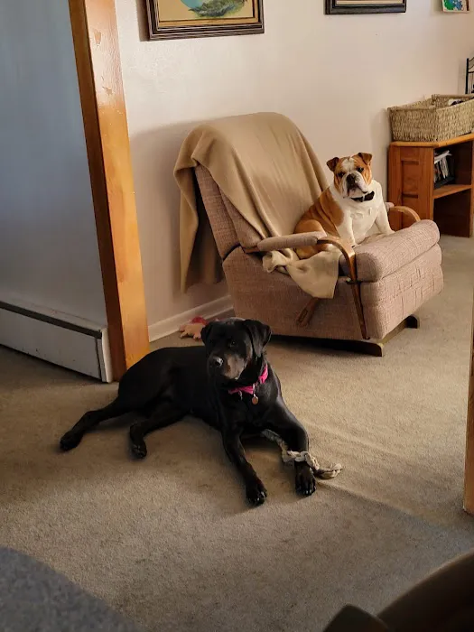 Thomaston Veterinary Clinic 12