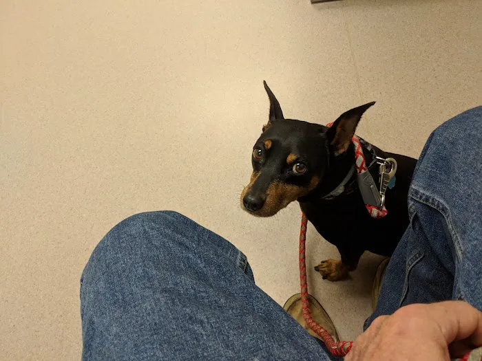 Litchfield Hills Veterinary Hospital 7