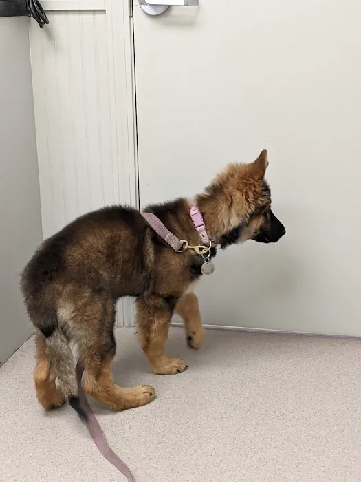 Litchfield Hills Veterinary Hospital 4