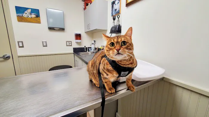 Litchfield Hills Veterinary Hospital 2
