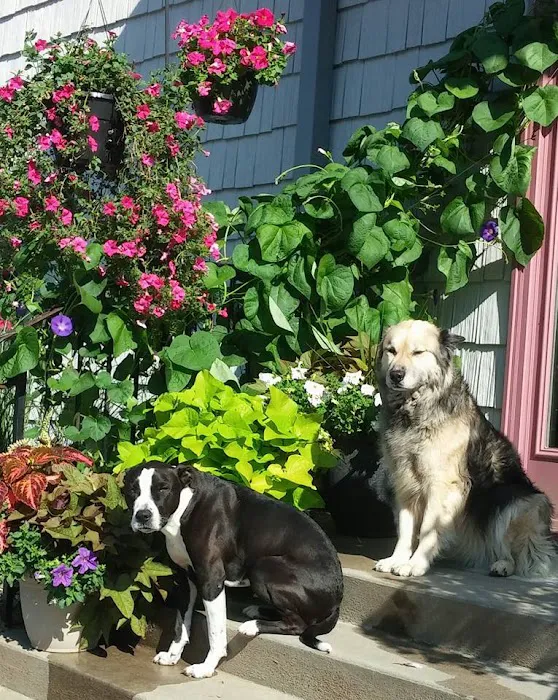 Torrington Animal Hospital 12