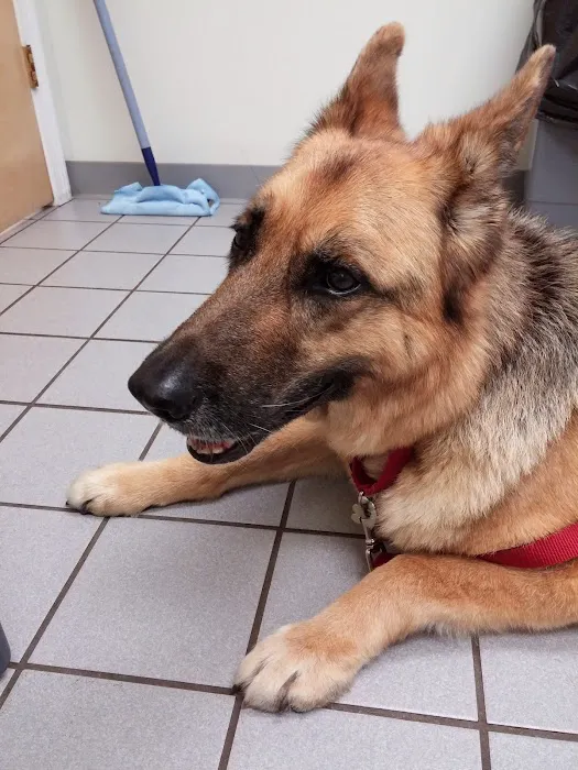 Torrington Animal Hospital 12