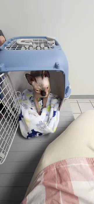 Torrington Animal Hospital 12