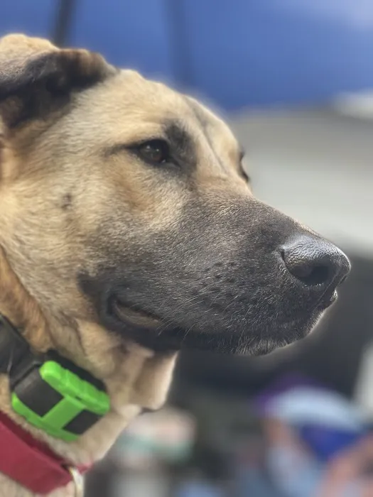 Torrington Animal Hospital 12