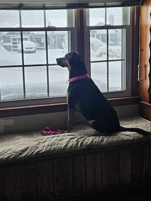 Torrington Animal Hospital 12
