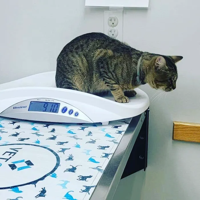 Torrington Animal Hospital 12