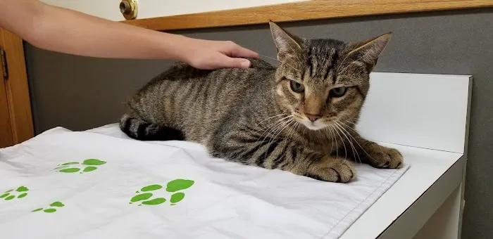 Wolcott Veterinary Clinic PC 12