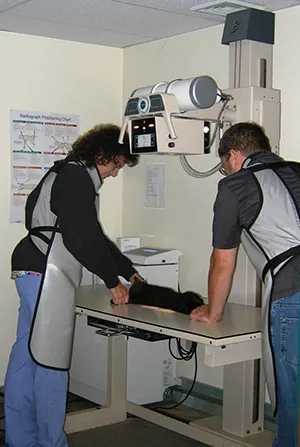 Beacon Valley Animal Hospital 12