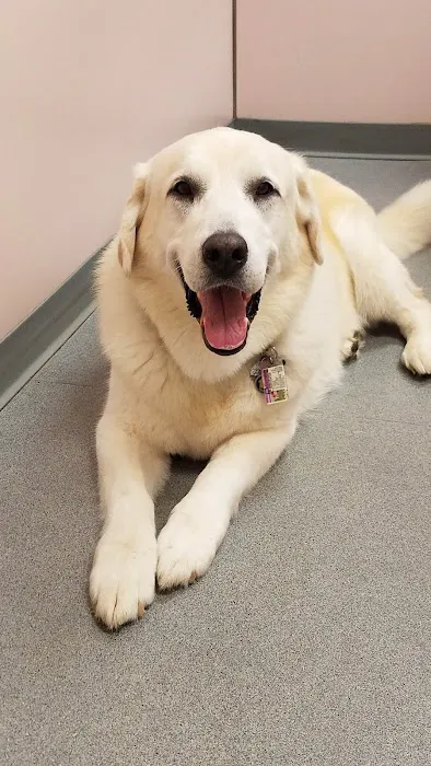 Prospect Veterinary Hospital 12