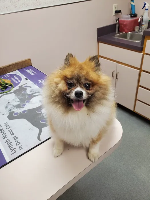 Prospect Veterinary Hospital 12