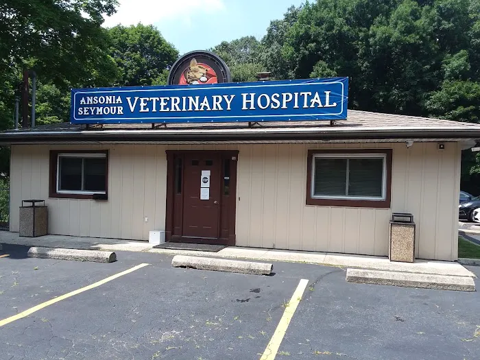Ansonia Seymour Veterinary Hospital 12
