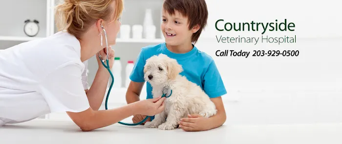 Countryside Veterinary Hospital 12