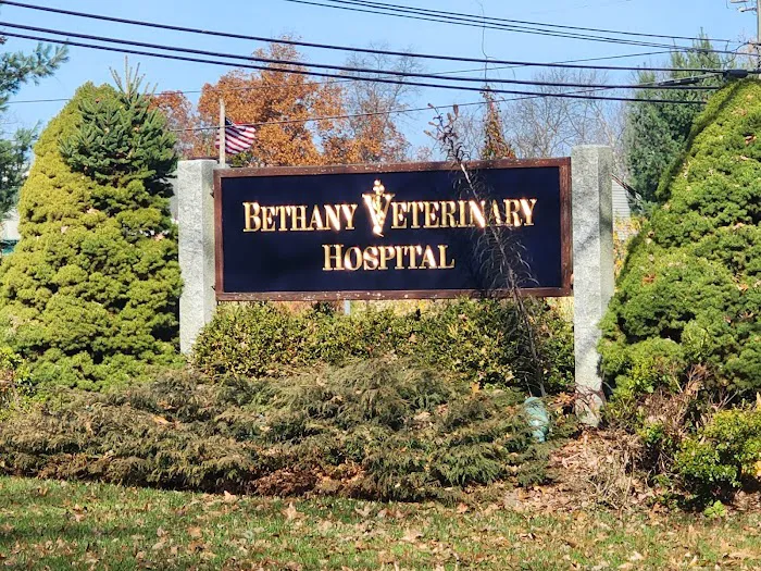 Bethany Veterinary Hospital 12