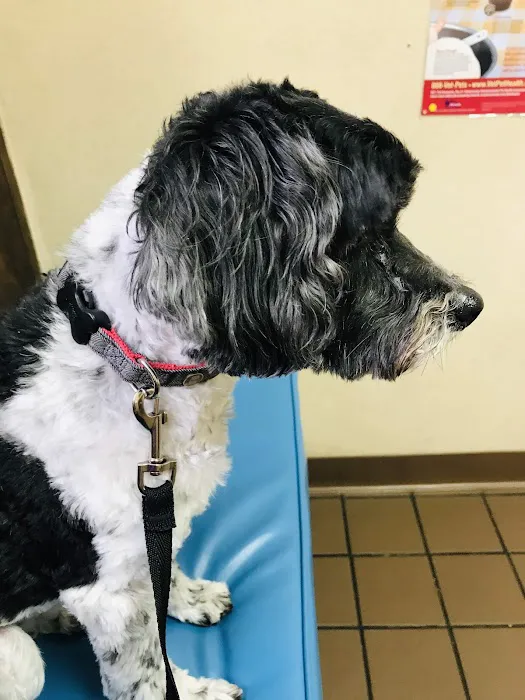 Bethany Veterinary Hospital 12