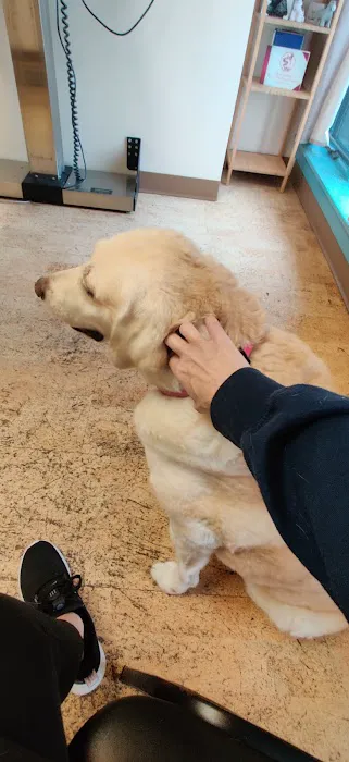 Fur and Feathers Veterinary Care 8