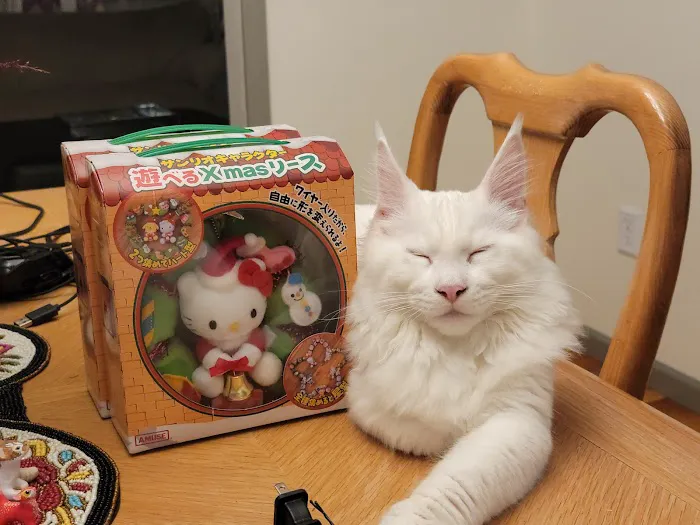 The Cat Doctor 3