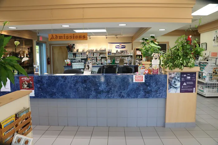 Endicott Animal Hospital 2