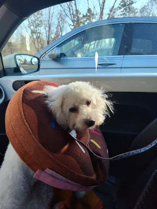 Forest Oaks Animal Hospital: Kleisch Rodger DVM 4