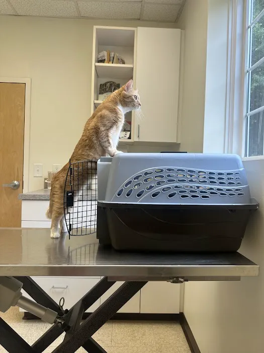 Forest Oaks Animal Hospital: Kleisch Rodger DVM 5