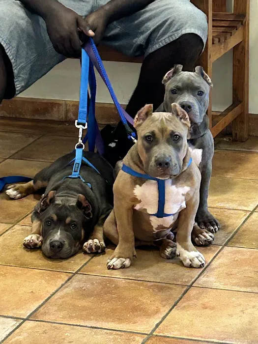 Forest Oaks Animal Hospital: Kleisch Rodger DVM 8
