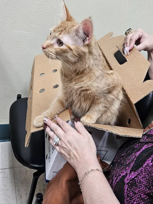 Southwoods Animal Hospital 8