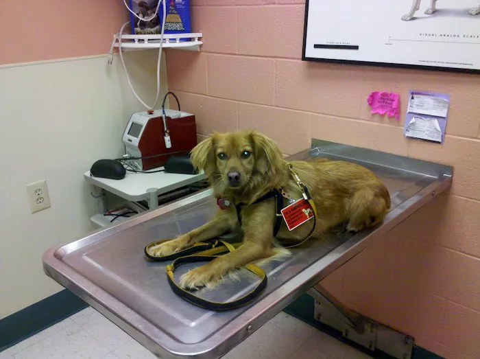 Southwoods Animal Hospital 2
