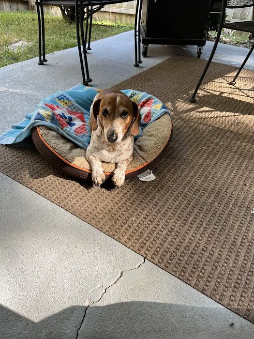 Southeast Community Animal Hospital 4