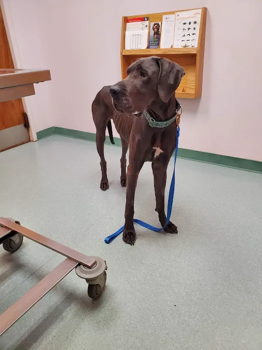 Southeast Community Animal Hospital 8