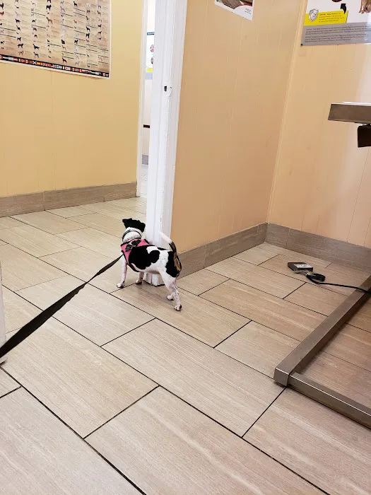 Academy Veterinary Hospital 3