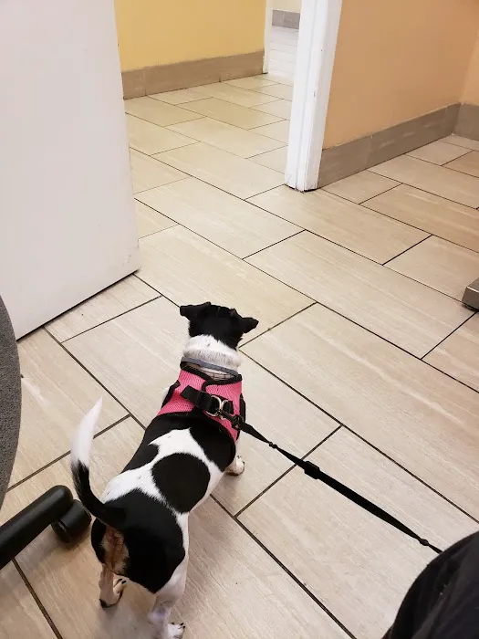 Academy Veterinary Hospital 1