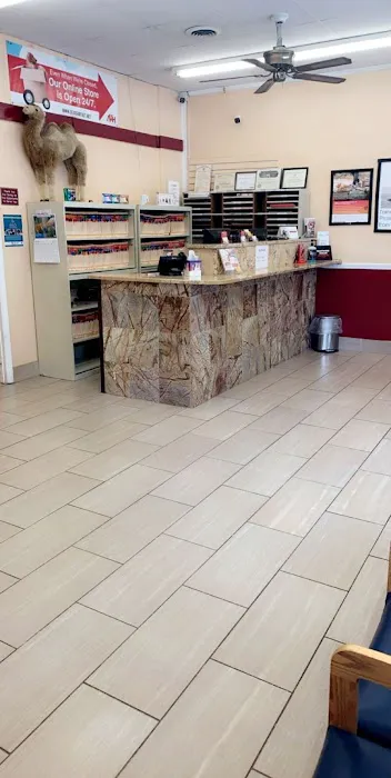 Academy Veterinary Hospital 5
