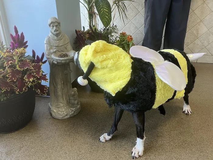St. Francis Animal Hospital of Durham 12
