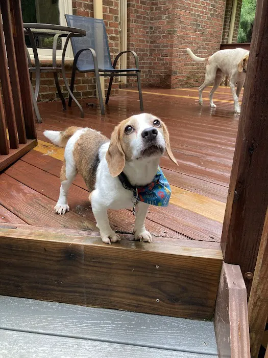 Carver Street Animal Hospital 12