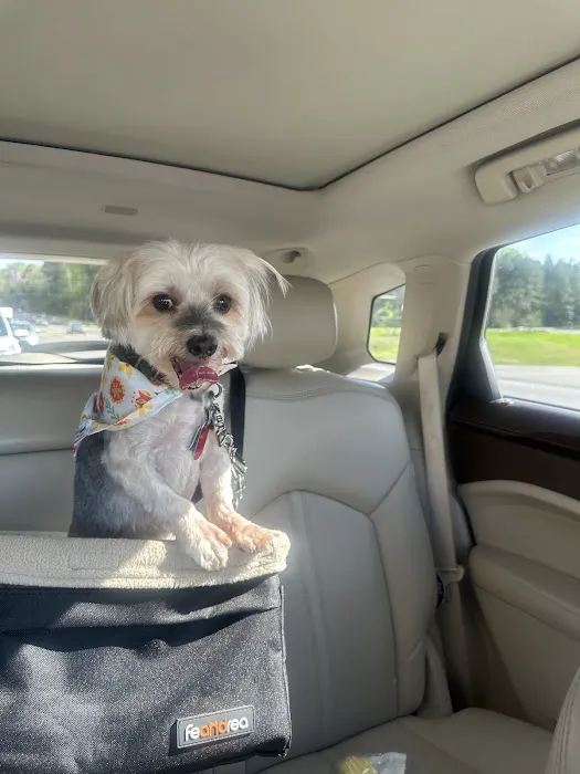 Banfield Pet Hospital 12