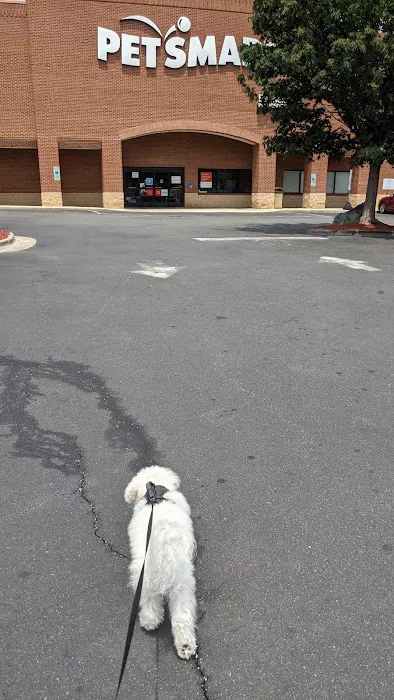 Banfield Pet Hospital 12