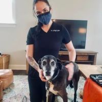 Local Mobile Veterinary Service ico