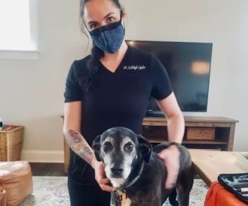 Local Mobile Veterinary Service