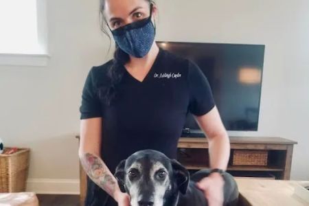 Local Mobile Veterinary Service