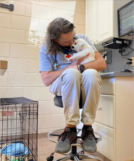 Durham Animal Hospital 12