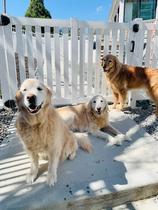 Page Point Animal Hospital and Pet Resort 5