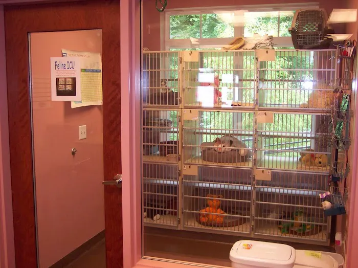 Animal Hospital at Brier Creek 7