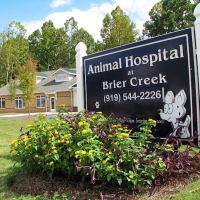 Animal Hospital at Brier Creek ico