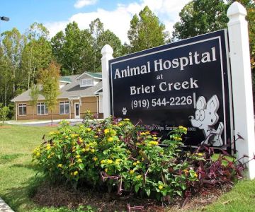 Animal Hospital at Brier Creek