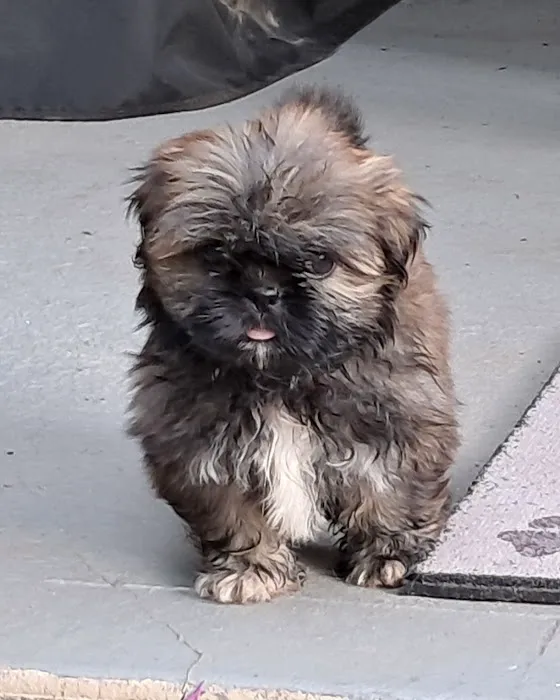 Banfield Pet Hospital 12