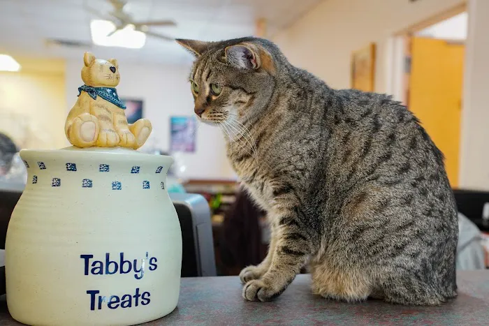 Raleigh-Durham Veterinary Hospital 3