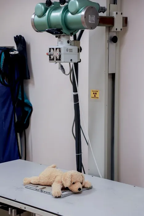 Raleigh-Durham Veterinary Hospital 6