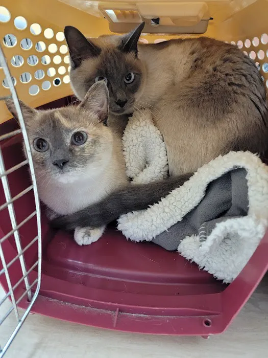 Raleigh-Durham Veterinary Hospital 7