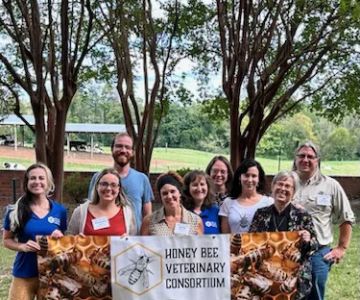 Honey Bee Veterinary Consortium