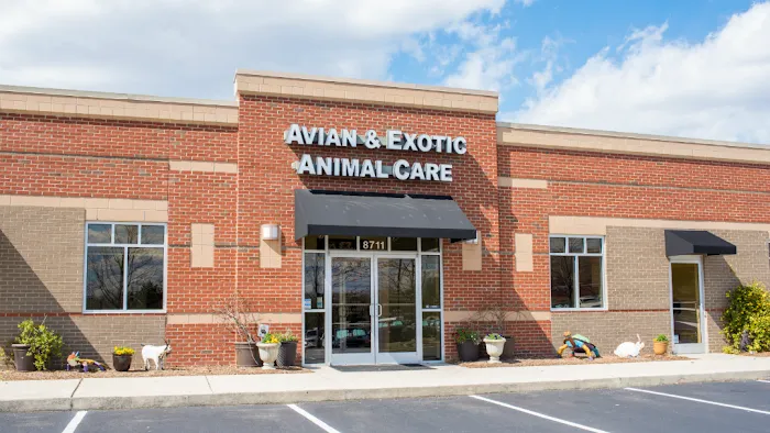 Avian and Exotic Animal Care 5